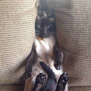 Meet your Posher, Zoe